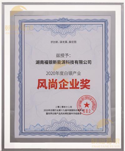 2020年度白银产业风尚企业奖