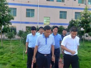 中国有色金属工业协会会长王健来我司调研